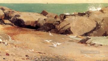  rock Oil Painting - Rocky Coast and Gulls Realism marine painter Winslow Homer